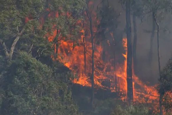 紧急通知！！！维州这些地方的居民游客立即马上撤离！有生命危险（组图） - 2