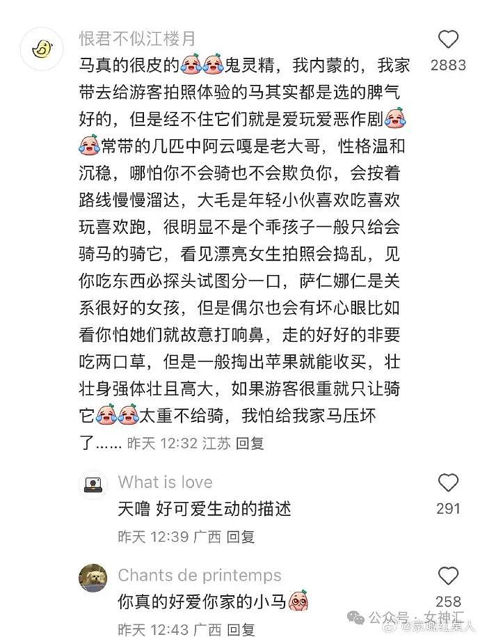 【爆笑】LV的狗窝要47w？这狗链是认真的吗？网友傻眼：有钱人的生活无法想象！（组图） - 33