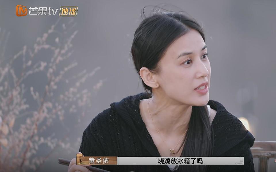 黄圣依最后一丝清醒，把麦琳的人设和人品撕了个粉碎（组图） - 11