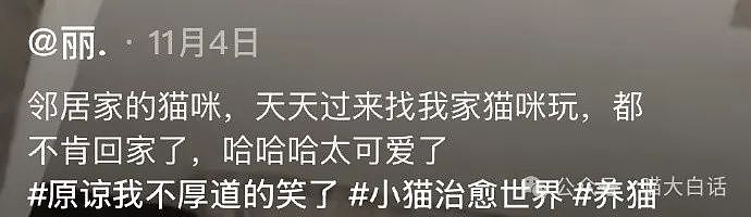 【爆笑】“在学校里看见情侣在互殴……”啊啊啊啊啊我嘞个对抗路情侣！（组图） - 12