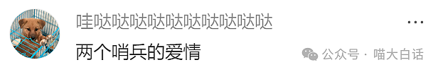 【爆笑】“在学校里看见情侣在互殴……”啊啊啊啊啊我嘞个对抗路情侣！（组图） - 6