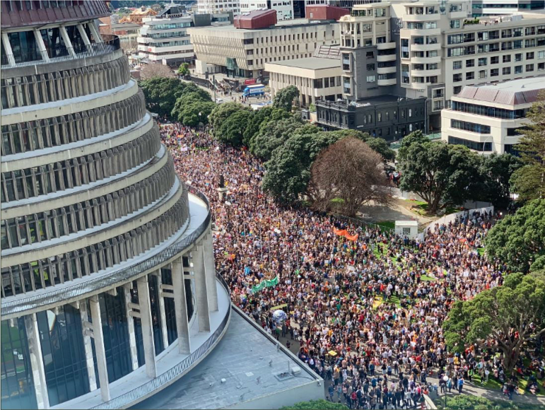 明天，3万人围堵新西兰国会！毛利女王将现身大游行，帮派参与！全球几亿人关注！（组图） - 8