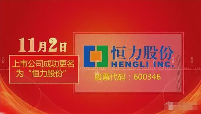 中国又一民营巨头崛起！年入8117亿，远超华为成最大民企，她凭啥（组图） - 13