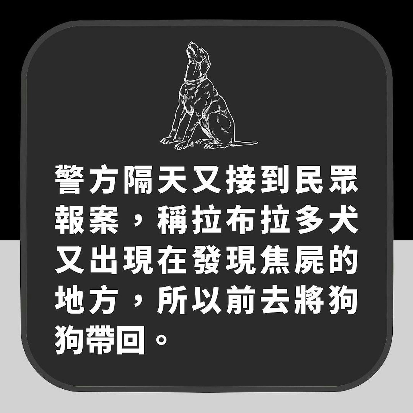 【宠物】26岁女主人惨被表哥杀害再烧成焦尸！忠犬拉布拉多助警方破案（组图） - 7