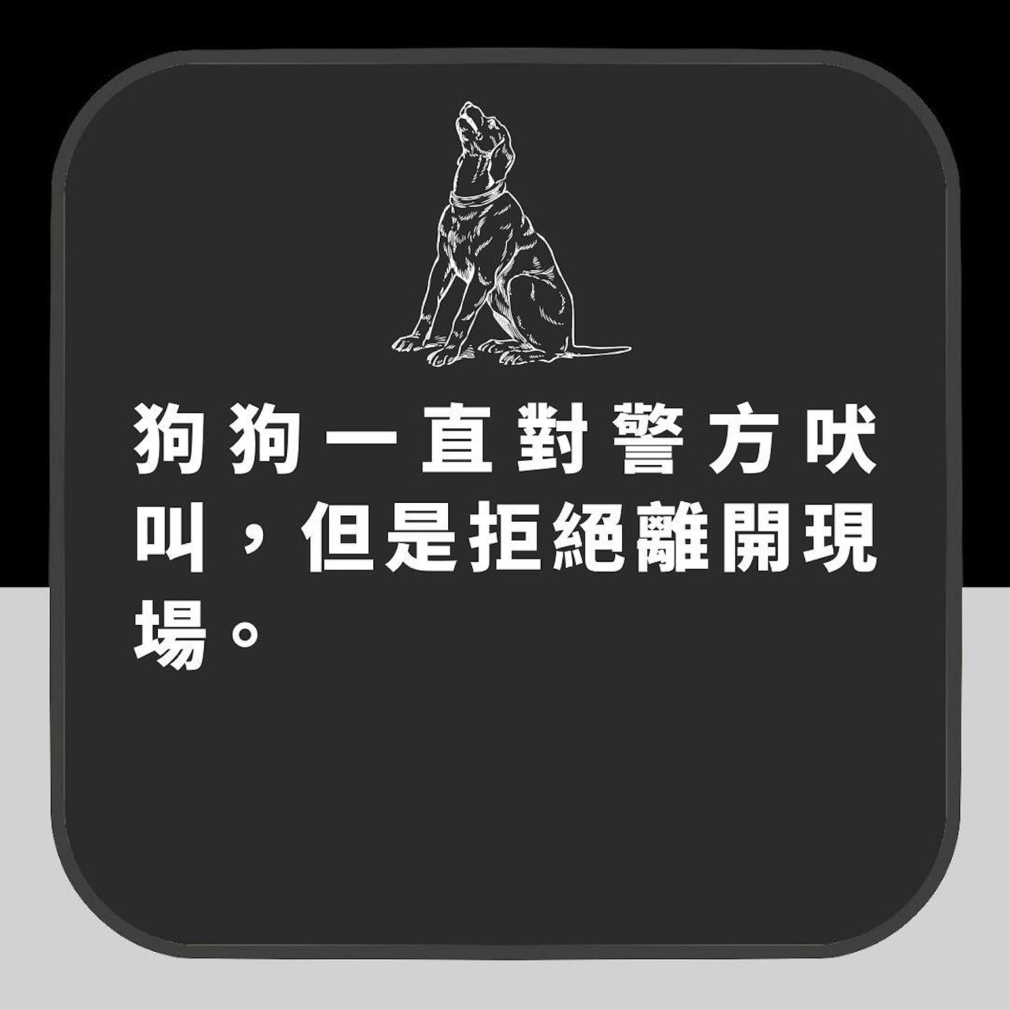 【宠物】26岁女主人惨被表哥杀害再烧成焦尸！忠犬拉布拉多助警方破案（组图） - 6