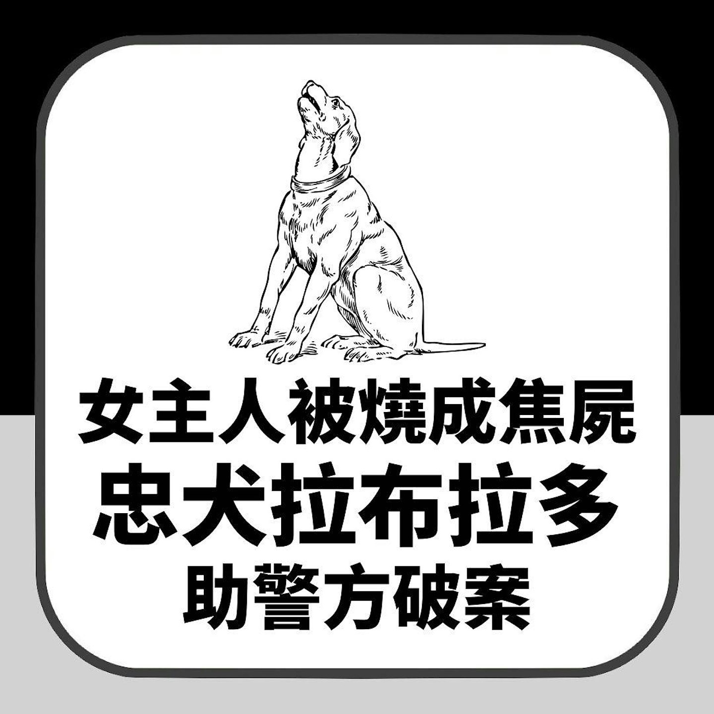 【宠物】26岁女主人惨被表哥杀害再烧成焦尸！忠犬拉布拉多助警方破案（组图） - 2