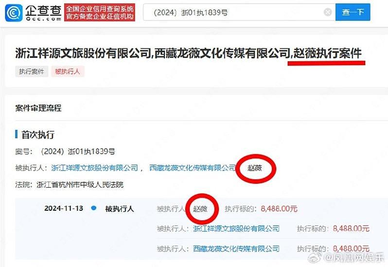 赵薇公司突遭强制执行，被罚金额网直呼：侮辱性极强（组图） - 2