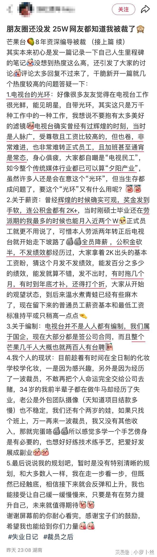 芒果台8年编导自曝被裁：发不出工资，所在内容生产部门被一锅端（组图） - 4