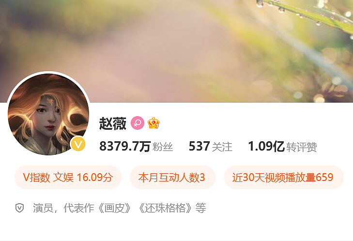 被强制执行8488元的赵薇，是如何到这一步的（组图） - 8