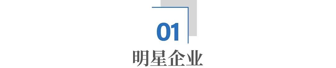 估值500亿的柔宇科技，宣告破产：清华天才做错了什么？（组图） - 2