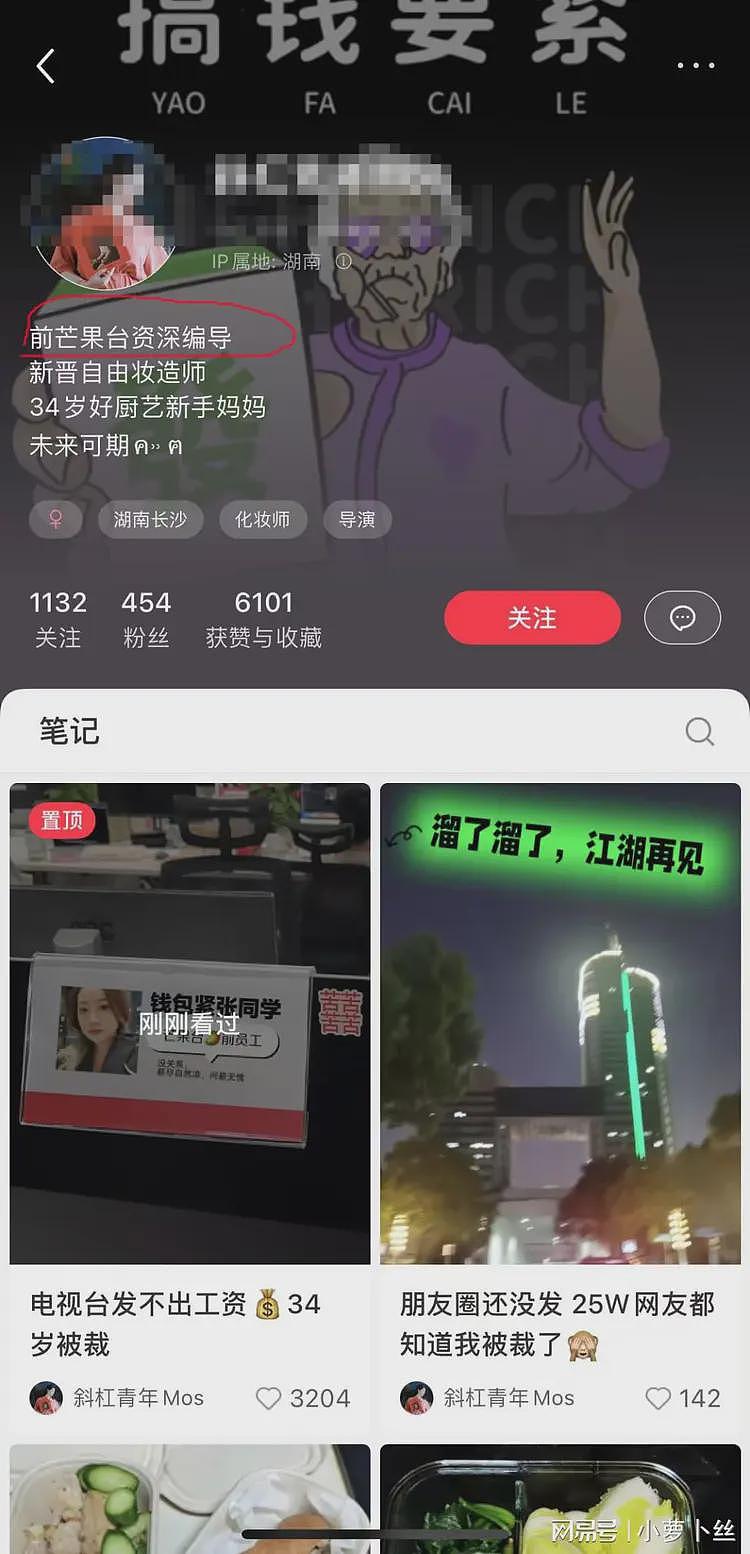 芒果台8年编导自曝被裁：发不出工资，所在内容生产部门被一锅端（组图） - 3