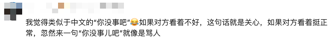 在澳洲千万别随便说这个，立马炸毛！英国人在澳洲社死瞬间，高敏体质藏不住了（组图） - 10