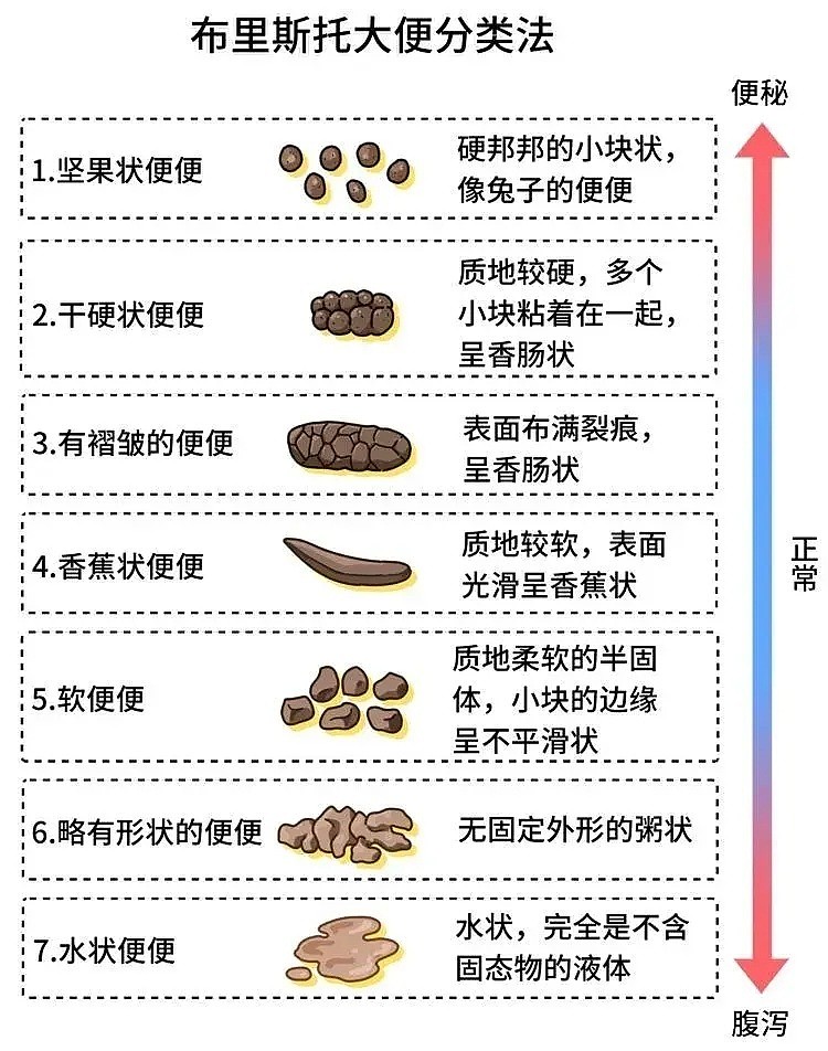 一公司招捐粪者：每次300元，满勤月入近万！专家揭秘：标准极严，甚至要看颜值（组图） - 5