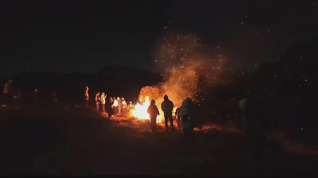 大学生深夜爬山还烧国家二级保护植物，录下全程视频我被文案恶心到了（视频/组图） - 2