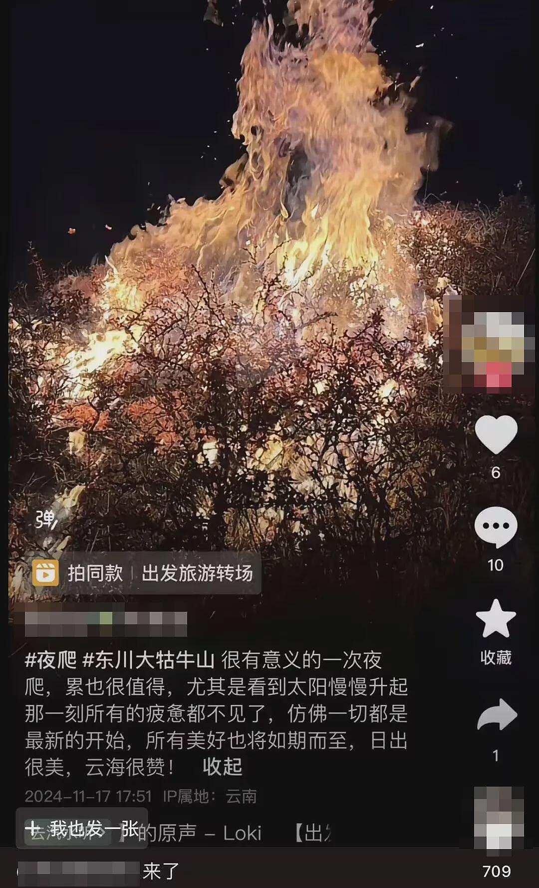 大学生深夜爬山还烧国家二级保护植物，录下全程视频我被文案恶心到了（视频/组图） - 6