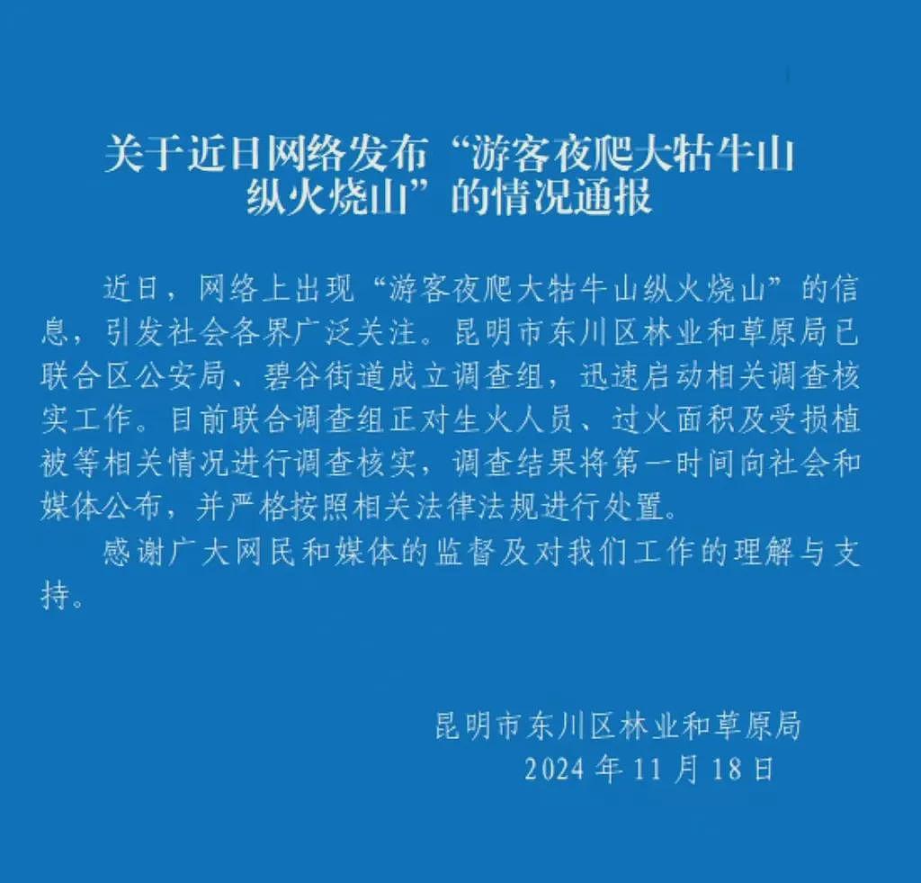 大学生深夜爬山还烧国家二级保护植物，录下全程视频我被文案恶心到了（视频/组图） - 12