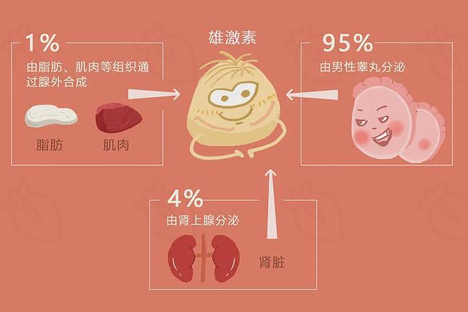 【两性】丁丁的长度、时间、硬度，行还是不行全靠它（组图） - 2