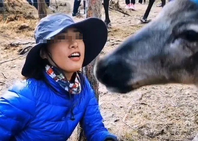 上海女驴友徒步时被65岁马夫猥亵？细节流出目击者发声反转又反转（组图） - 3