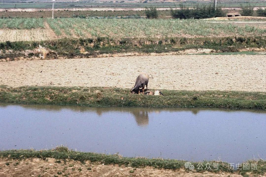 罕见照片：外国摄影师镜头下的1972年深圳罗湖（组图） - 11