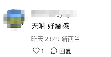 数千新西兰人涌进这个海滩！提着桶狂奔，华人：从没见过，很震撼！墨尔本海滩曾因此引发大众“狂欢”（组图） - 3