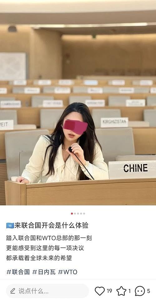 小红书掀联合国名媛量产热潮，真相揭露：自费去总部领奖（组图） - 8