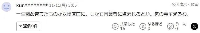 小伙半夜偷走200公斤大葱，被抓后的借口，这离奇的脑回路（组图） - 15