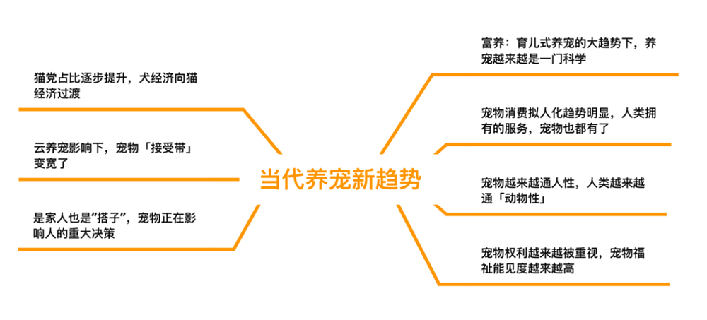 宠物正代替婴儿，成为中国家庭的宠儿（组图） - 7