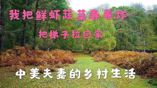 出国种菜的“李子柒”们，将巴黎荒郊变沃土！市长组团参观：中国大妈太强了（组图） - 12