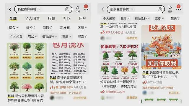 蚂蚁森林：“上瘾”游戏玩家如何借虚假步数和积分农场欺骗旨在倡议环保的中国应用程式（组图） - 3