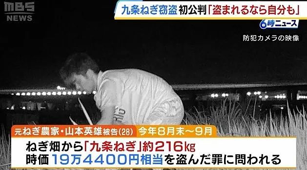 小伙半夜偷走200公斤大葱，被抓后的借口，这离奇的脑回路（组图） - 6