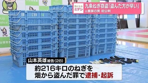 小伙半夜偷走200公斤大葱，被抓后的借口，这离奇的脑回路（组图） - 10