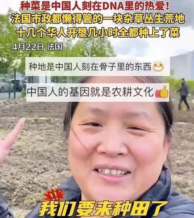 出国种菜的“李子柒”们，将巴黎荒郊变沃土！市长组团参观：中国大妈太强了（组图） - 8