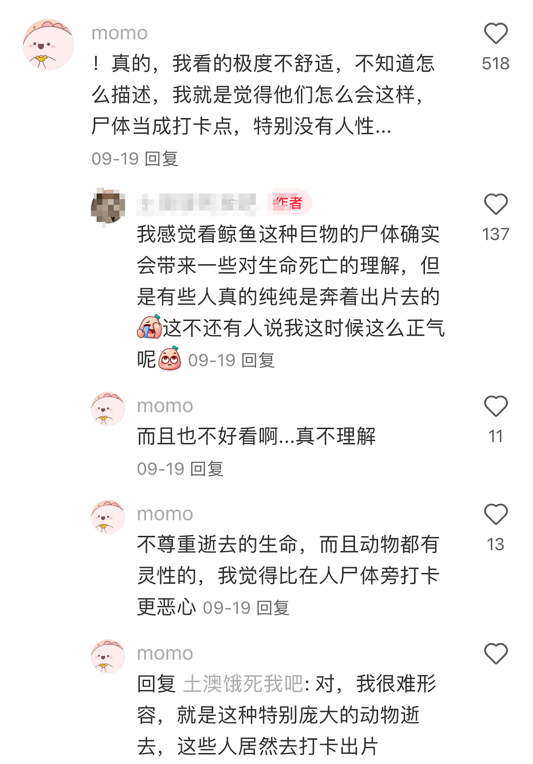 数千新西兰人涌进这个海滩！提着桶狂奔，华人：从没见过，很震撼！墨尔本海滩曾因此引发大众“狂欢”（组图） - 29