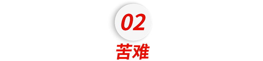 悲痛！叶嘉莹离世！哈佛任教、裸捐3600万，她才是这个时代真正的女明星......（组图） - 8