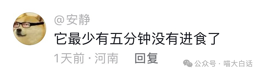 【爆笑】“毕业时收到了学校发的情趣用品？？”啊啊啊啊啊玩这么大吗！！（组图） - 78