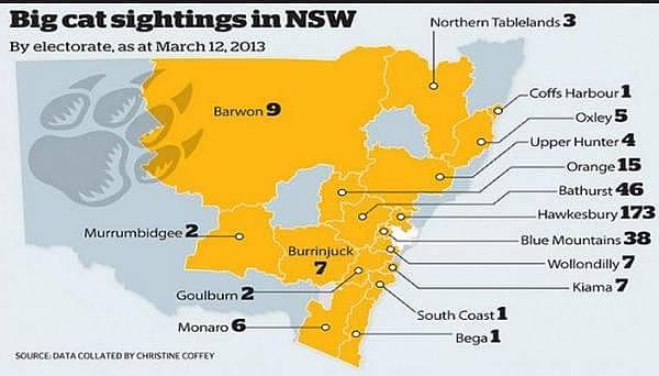 悉尼惊现恐怖大猫！肆虐近郊数百年，残害无数生命（组图） - 17