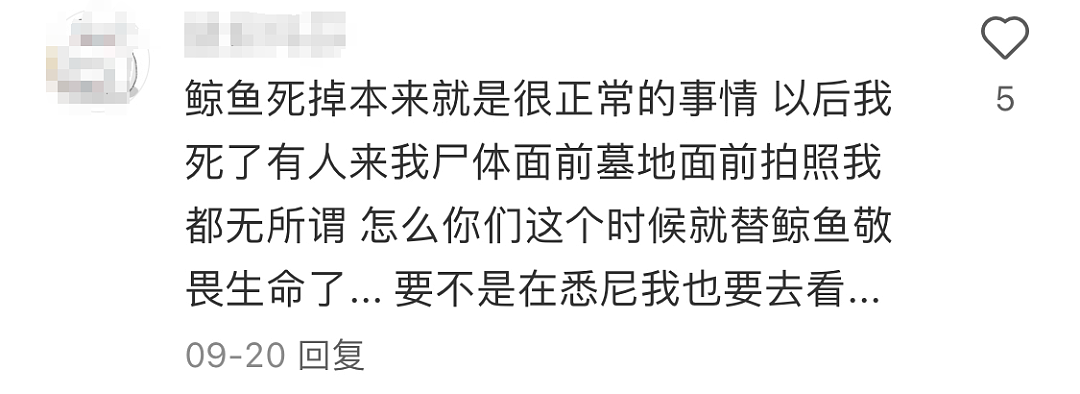 数千新西兰人涌进这个海滩！提着桶狂奔，华人：从没见过，很震撼！墨尔本海滩曾因此引发大众“狂欢”（组图） - 30