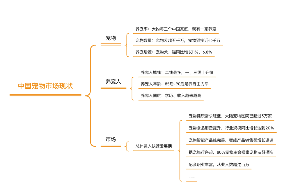 宠物正代替婴儿，成为中国家庭的宠儿（组图） - 2