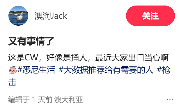 全澳刷屏！悉尼城铁站口捅人，大批华人亲眼目睹；加油站被枪杀，华人记录全过程，凶手仍在逃（组图） - 6