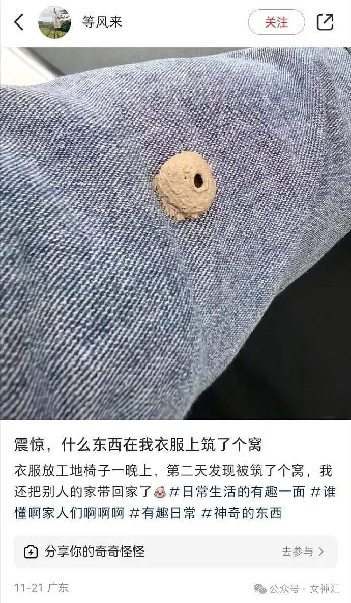 【爆笑】怀疑男朋友在外面当男仆，因为他手机里有这个APP？网友评论笋到家！（组图） - 28