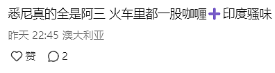 倒反天罡！印度人游行怒吼：白人滚回欧洲，我们是这个国家的主人！澳洲也沦陷了（组图） - 6