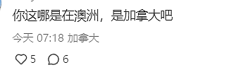 倒反天罡！印度人游行怒吼：白人滚回欧洲，我们是这个国家的主人！澳洲也沦陷了（组图） - 9