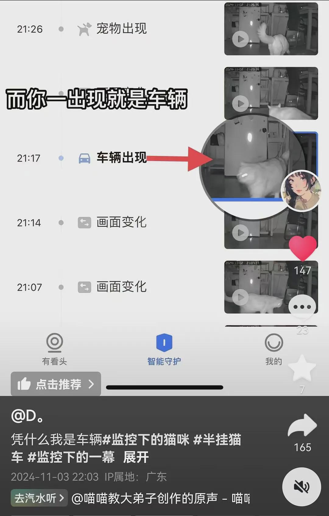 【宠物】妹子打开监控，发现客厅有“车辆出现”？刚想告，网友羡慕哭：俩半挂灵活进出，屋多大呀（组图） - 10