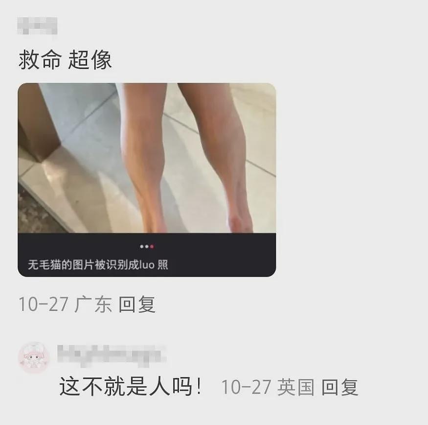 【宠物】妹子打开监控，发现客厅有“车辆出现”？刚想告，网友羡慕哭：俩半挂灵活进出，屋多大呀（组图） - 19