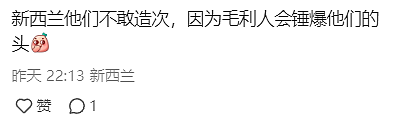 倒反天罡！印度人游行怒吼：白人滚回欧洲，我们是这个国家的主人！澳洲也沦陷了（组图） - 12