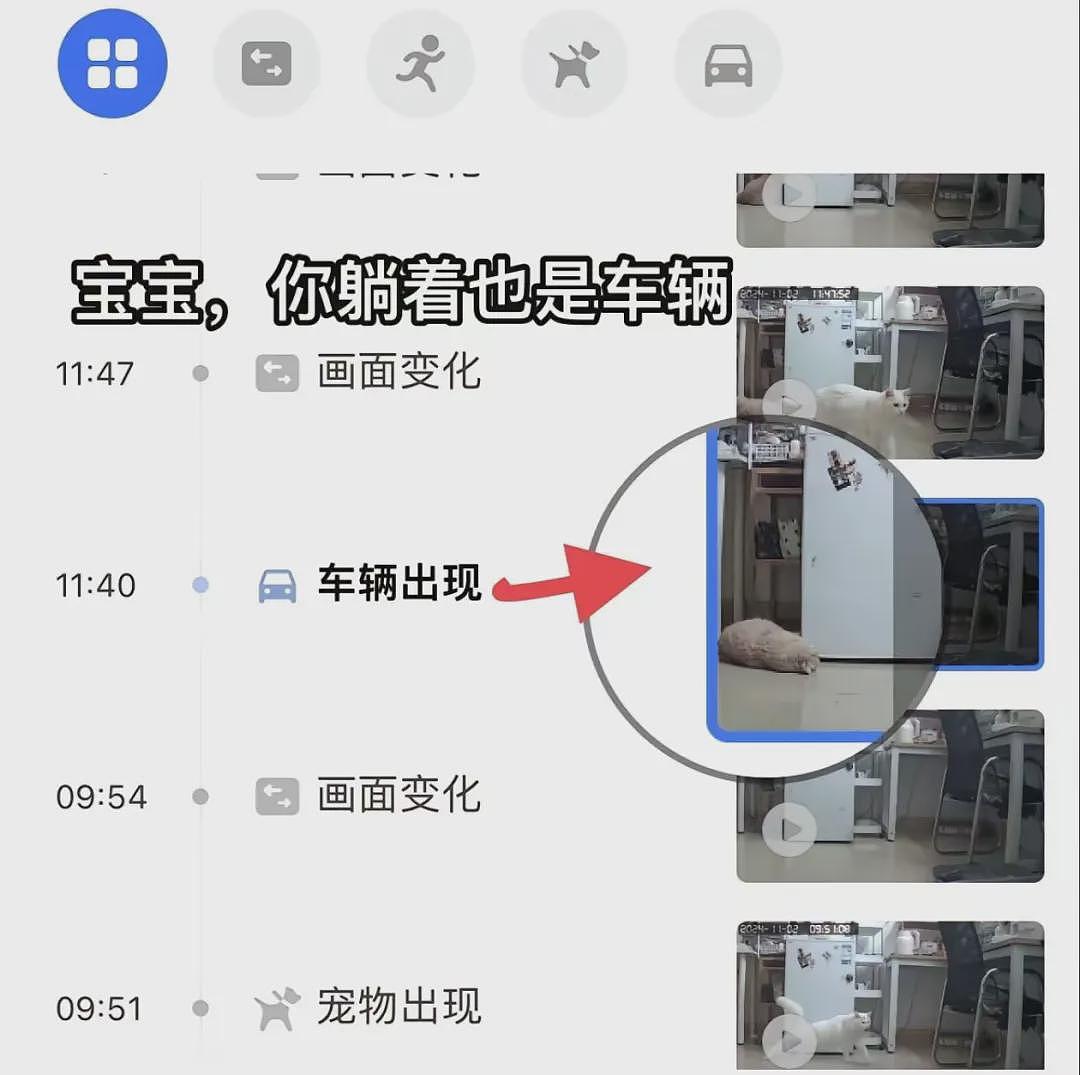 【宠物】妹子打开监控，发现客厅有“车辆出现”？刚想告，网友羡慕哭：俩半挂灵活进出，屋多大呀（组图） - 11