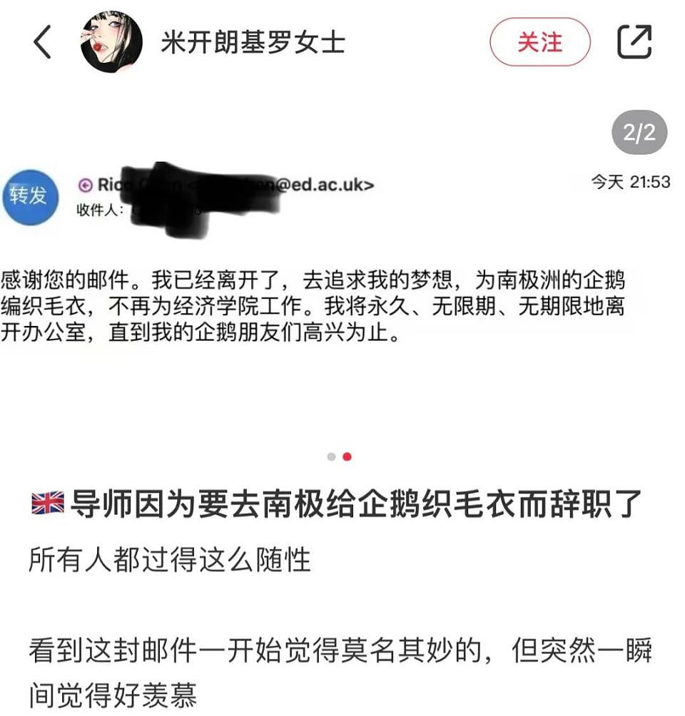 为什么一夜之间，打工人都想辞职去南极给企鹅织毛衣？（组图） - 4