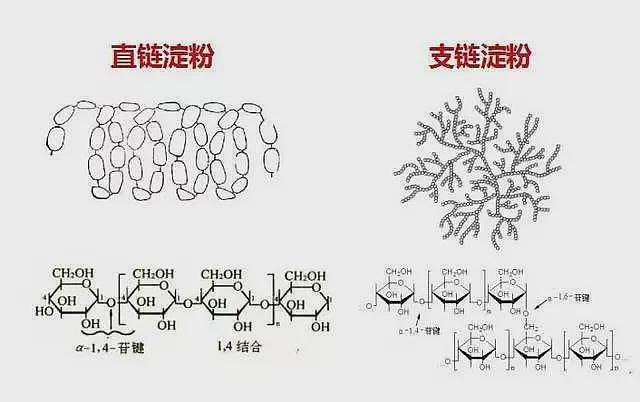 这种很多人都爱吃的主食，你以为很长肉，其实减肥友好（组图） - 4