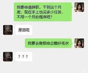 为什么一夜之间，打工人都想辞职去南极给企鹅织毛衣？（组图） - 1