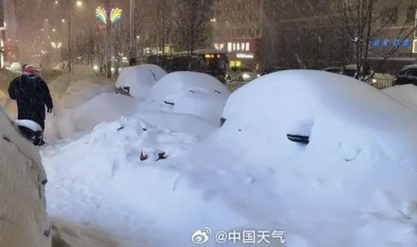 黑龙江鹤岗积雪48公分，救护车被困...医护扛担架雪中送人（组图） - 3